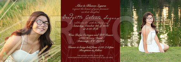 5_X_15 trifold template internal