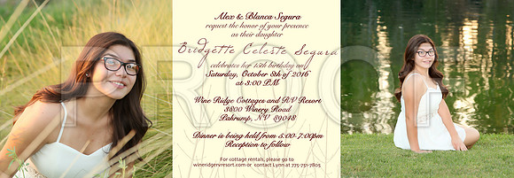 5_X_15 trifold template internal